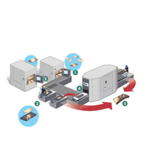 Section formage siège - page groupe